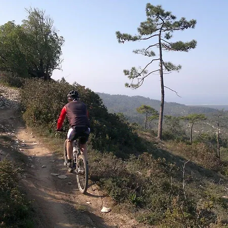 Sweet Atlantic & Otel Figueira da Foz